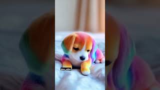 Coloring dog toys pets pet minidoge mydog colors [upl. by Trevorr972]