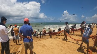 Amazing Seine Net Fishing  Epic Catch Hundreds of Fish in One Net [upl. by Yentruoc]