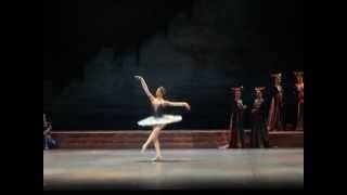 Raymonda  selections 4  Svetlana Zakharova Andrei Uvarov  Tokyo 2004 [upl. by Yeloc233]