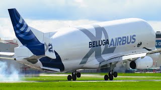 Airbus Beluga XL A330743L Landing at Chester Hawarden Airport [upl. by Etteb154]