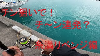 【沖縄釣り】糸満チヌリベンジ！チヌ狙いでチーン連発！？ [upl. by Gisser]