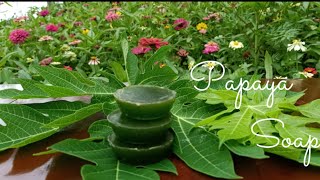 My whitening soap made from papaya leaves extract [upl. by Staal]