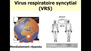 Virologie  Virus Respiratoire Syncytial VRS FMPC [upl. by Magdalen]