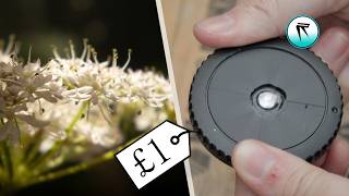 The most budget macro lens…is it any good [upl. by Acihsay363]