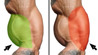 Get Huge Biceps Triceps Exercises that make Biceps Triceps Faster [upl. by Lytsirhc]