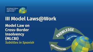 Subtitles in EspañolAn Introduction to UNCITRALs Model Law on CrossBorder Insolvency Law MCBLI [upl. by Grata937]