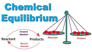 What is Chemical Equilibrium Explain with Example  Class 10 Chemistry Chapter Chemical Equilibrium [upl. by Ettenor382]