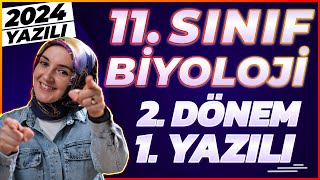 11Sınıf Biyoloji 2Dönem 1Yazılı 2024 yazılı biyoloji [upl. by Tisha]