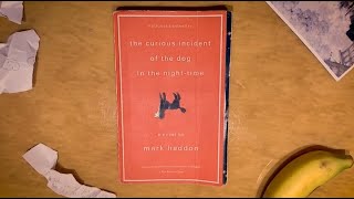 The Curious Incident of the Dog in the Nighttime Book Trailer [upl. by Chancelor498]