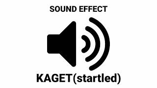 kagetstartled quotsound effectquot [upl. by Laynad696]