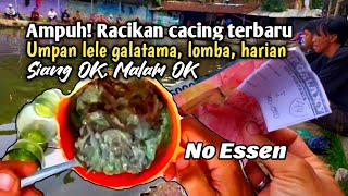 Bubur cacing terbaru cocok siang dan malam umpan ikan lele galatama dan lomba [upl. by Alrep169]