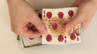 Bicycle cards Alchemy England  deck review [upl. by Chapen]