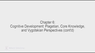 Developmental Psychology  Lecture 13 PSYC 240 [upl. by Gombach]