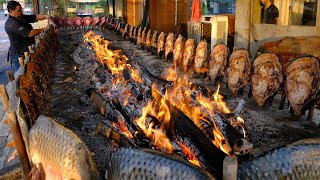 Amazing Iraqi Style Grilled Fish Around Charcoal and wood Fire  ErbilKurdistan Street Foods [upl. by Ettedo]