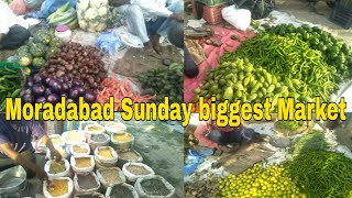 Moradabad Sunday biggest market  Moradabad Ki Sabse Badi Sabji Market [upl. by Scholz]