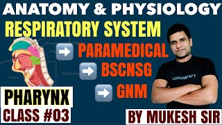 PHARYNX NasopharynxOropharynx amp Laryngopharynx II RESPIRATORY SYSTEM II CLASS 03 II ANATOMY [upl. by Ogaitnas]