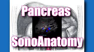 Pancreas Sonoanatomy [upl. by Atse966]