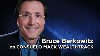 Bruce Berkowitz  Powerful Financials [upl. by Finah]