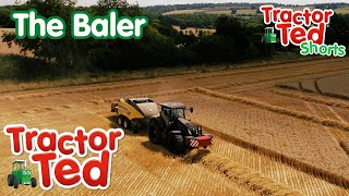 The Baler 🚜  Tractor Ted Big Machines  Tractor Ted Official Channel [upl. by Esahc636]