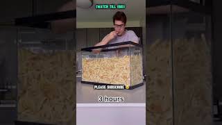 This guy shattered the world record for eating French fries [upl. by Garry]