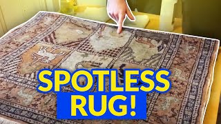 How To Clean A Dirty Rug By Hand  How to Clean a Mercerised Cotton Rug [upl. by Maxine]