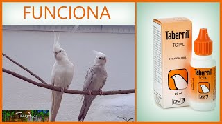 🐤 TABERNIL total VITAMINAS para PAJAROS 🐦🐦🐤 [upl. by Ariaj]