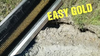 Gold Prospecting On The North Saskatchewan River EASY diggings [upl. by Waterer]