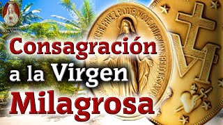 🌟 Consagración a Nuestra Señora de la Medalla Milagrosa 🔵 Caballeros de la Virgen [upl. by Ylicec428]