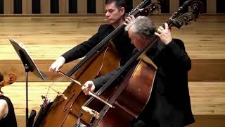 Trailer Northern Chamber Orchestra with Raphael Wallfisch [upl. by Brasca356]