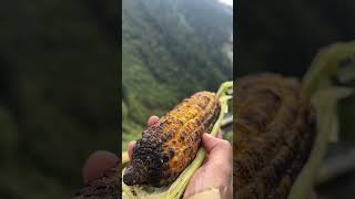 Barish aur Bhutta song music lyrics love ytshorts travel manali [upl. by Magnuson]