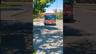 Boise valley ride Gillig low floor city bus  611 [upl. by Camala]