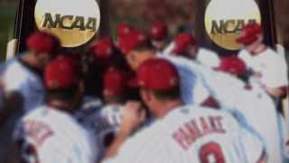 2014 South Carolina Baseball Intro [upl. by O'Toole]