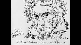 VZO lit Beethoven Testament de Heiligenstadt [upl. by Worrell896]