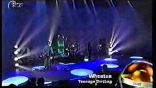 Wheatus Teenage Dirtbag Viva Comet Awards Germany [upl. by Alesiram]