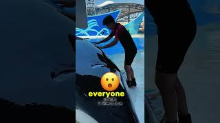 A huge dolphin caused a panic in the water park 🐬🌊 [upl. by Reh]