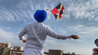 Flying Kites On Makar Sakranti  kites festival  kite fights [upl. by Hau]