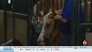 National Reining Horse Association Classic Opens At Tulsa County Fairgrounds [upl. by Eudoxia]