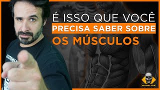 É ISSO QUE VOCÊ PRECISA SABER SOBRE OS MÚSCULOS [upl. by Duffie]