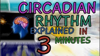 CIRCADIAN RHYTHM EXPLAINED IN 3 MINUTES  WHAT IS THE CIRCADIAN RHYTHM  HUMAN BODY CLOCK [upl. by Aidas801]