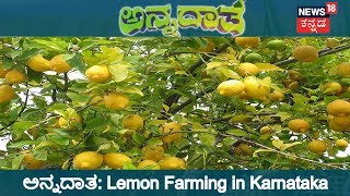 ಅನ್ನದಾತ  Farmer Makes Huge Profit By Growing Lemon  Aug 1 2018 [upl. by Moyra]