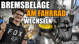 Bremsbeläge am Fahrrad wechselntauschen  Bremssattel schleiffrei einstellen [upl. by Oirrad]