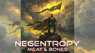 Negentropy  Meat and Bones Official Audio [upl. by Edi495]