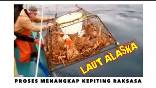 Proses Menangkap Kepiting Raksasa Laut Alaska [upl. by Nyllek]