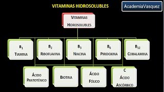 Vitaminas hidrosolubles Vitamina B1 o Tiamina [upl. by Atteloiv]