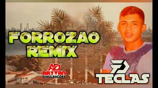 FORROZAO ELETRÔNICO REMIX  DF TECLAS [upl. by Miarhpe]