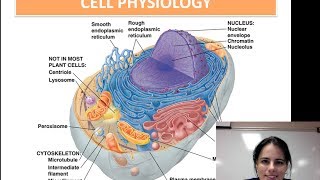 Cell Physiology Unit 1  Video 7 [upl. by Sac]