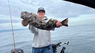 Jigging BIG Rockfish and Lingcod on the Washington Coast [upl. by Alwitt761]