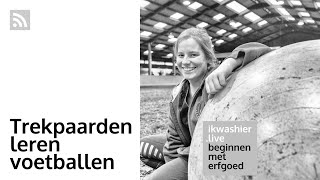 Trekpaarden leren voetballen met Dorien Renders van Ju met ’t peird  Beginnen met erfgoed 137 [upl. by Htiffirg927]