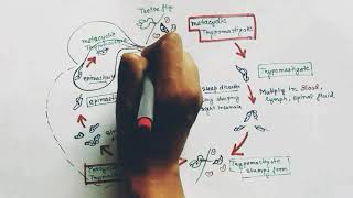 Trypanosoma Lifecycle Hindi  Trypanosoma gambiense lifecycle  Trypanosoma brucei  Trypanosomiasis [upl. by Hsu]