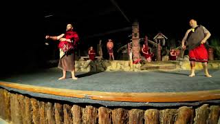 Mitai Maori village cultural experience Part 2 [upl. by Nuy485]